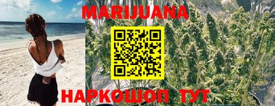 меф Кингисепп